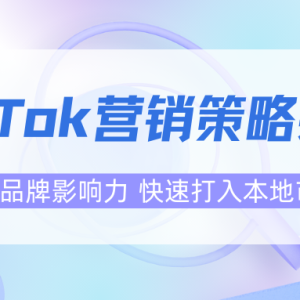 TikTok爆款制造机！揭秘网红营销背后的流量密码